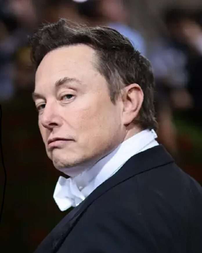 Elon Musk twitter takeover