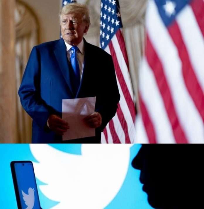 Trump reinstatement on Twitter