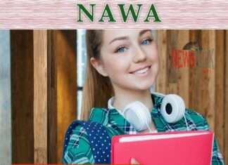 NAWA Banach Scholarship